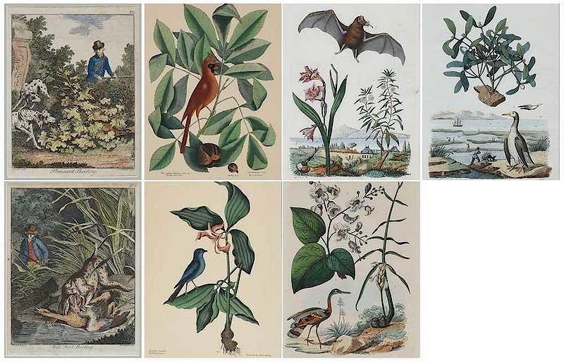 Appraisal: Seven Decorative Prints Two prints from The Natural History of