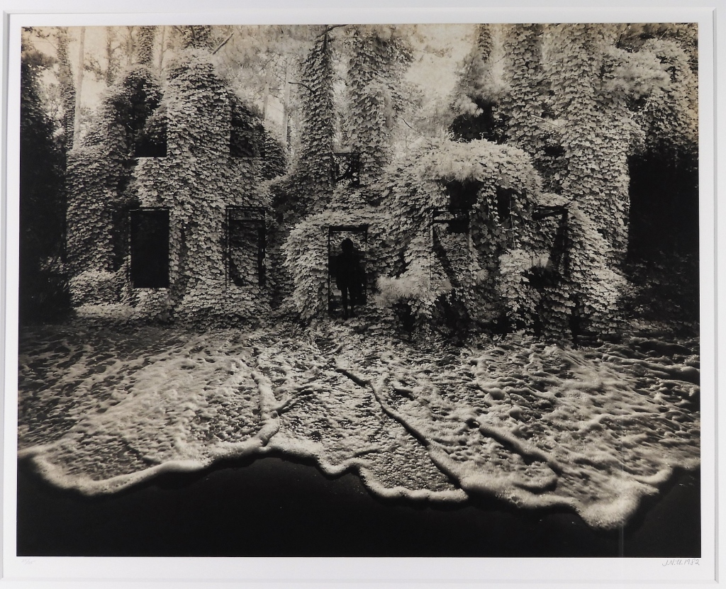 Appraisal: JERRY UELSMANN PLATINUM PORTFOLIO KUDZU PHOTOGRAPH Michigan b Kudzu from