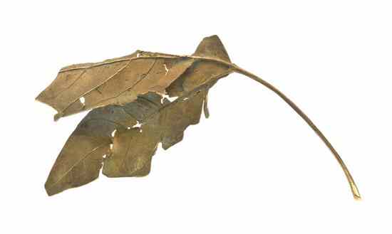 Appraisal: A Patinated Bronze Leaf Brooch John Iverson measuring approximately x