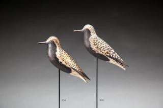 Appraisal: Golden Plover by A Elmer Crowell Golden PloverA Elmer Crowell