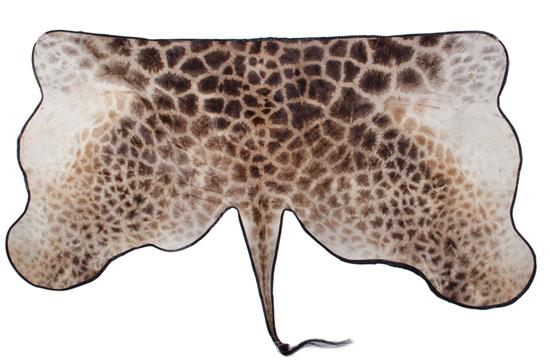 Appraisal: Giraffe skin rug ' x ' Provenance Canadian private collection