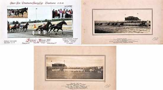 Appraisal: THREE PHOTOGRAPHS OF FINISHES OF VICTORIAN TROTTING RACES with race