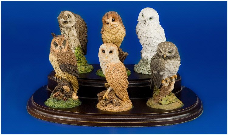 Appraisal: Royal Doulton Bird Figures set of owls on wooden stand