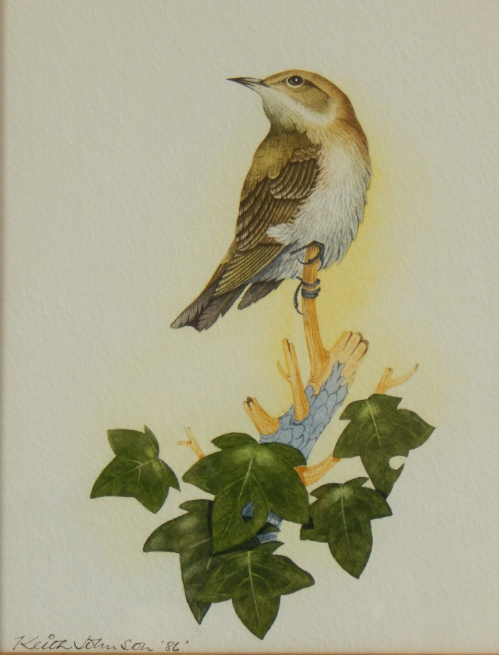 Appraisal: Keith Johnson thC Bird and floral studies watercolours four signed