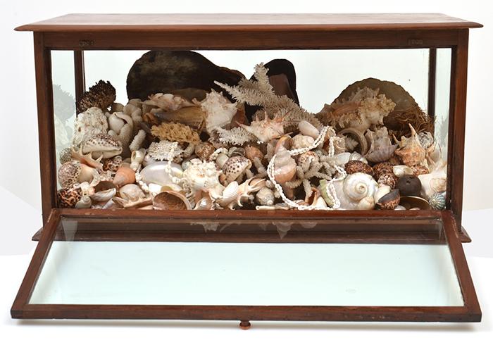 Appraisal: A LARGE SHELL DIORAMA IN A GLAZED CABINET