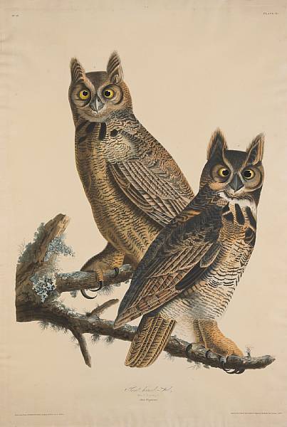 Appraisal: John James Audubon American - Great Horned-Owl Strix Virginiana Pl