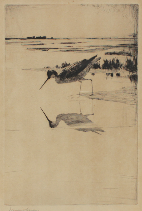 Appraisal: BENSON Frank Weston American - ''Lone Yellow Legs'' Drypoint Etching