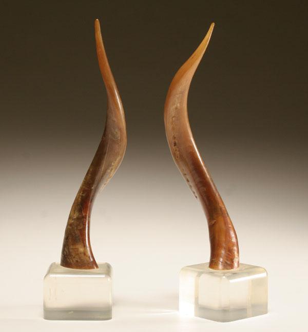 Appraisal: Pair of horns mounted on lucite bases H Good condition