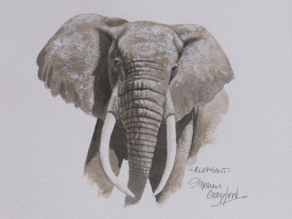 Appraisal: STEPHEN GAYFORD b Watercolour 'Elephant' signed and entitled recto and