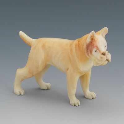 Appraisal: A Carved Ivory Figure of a Boxer Puppy Carved ivory