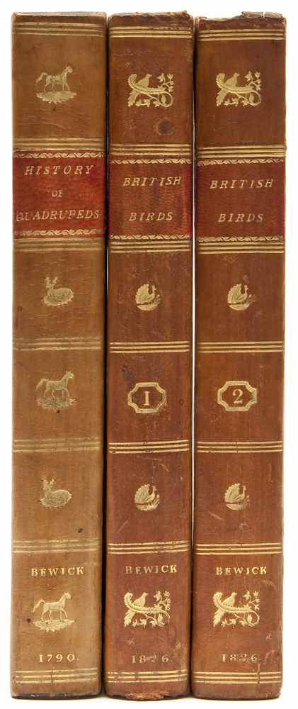 Appraisal: Bewick Thomas A History of British Birds vol with the