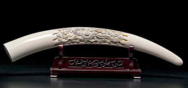 Appraisal: Chinese Carved Ivory Tusk Chinese th century An ivory tusk