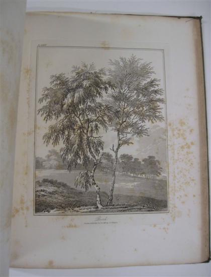 Appraisal: vol Kennison Edward An Essay on Trees in Landscape London