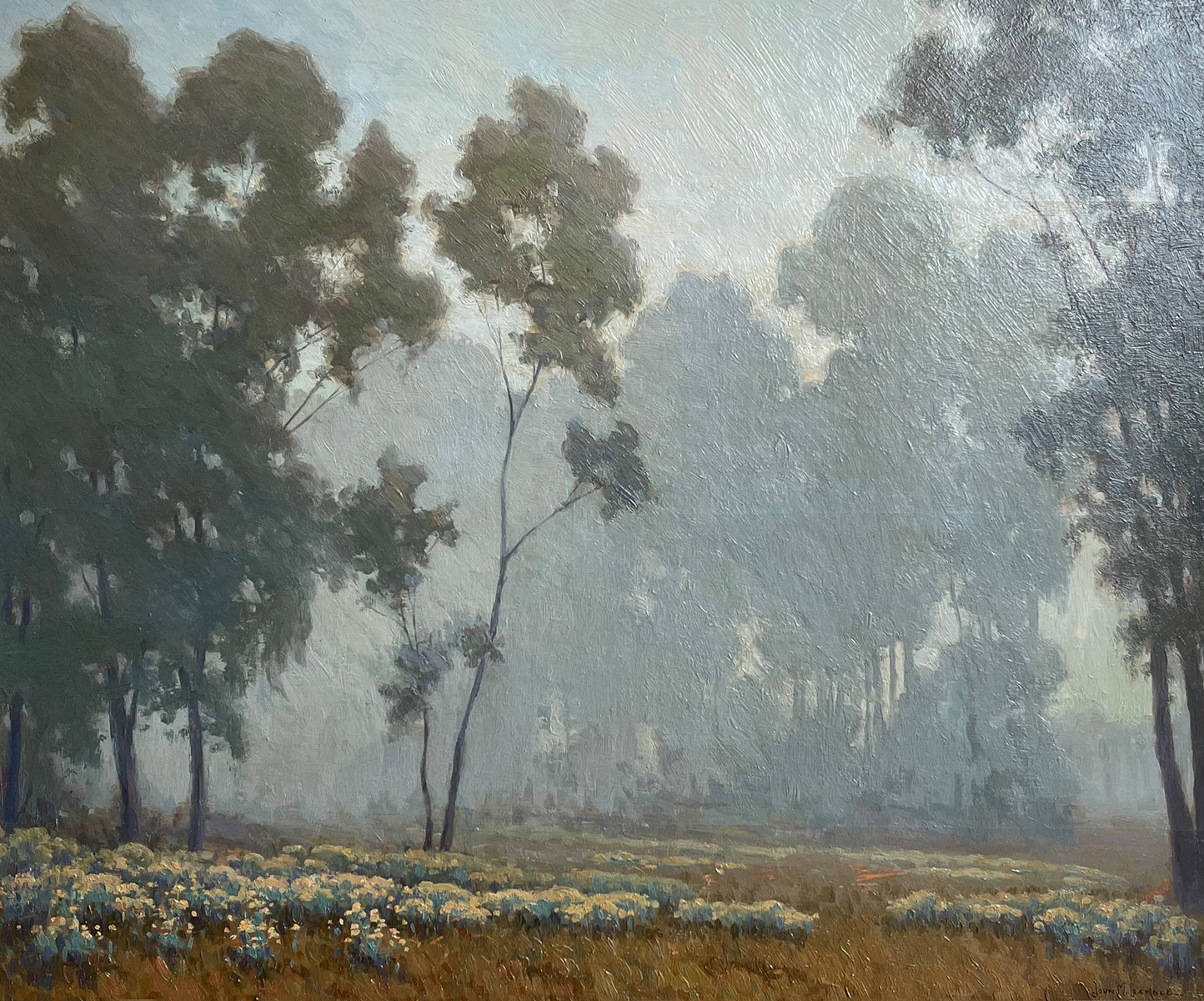 Appraisal: GAMBLE John Marshall American - ''Eucalyptus Hill in Fog'' Oil