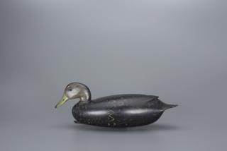 Appraisal: Black Duck William H Quinn Black Duck William H Quinn