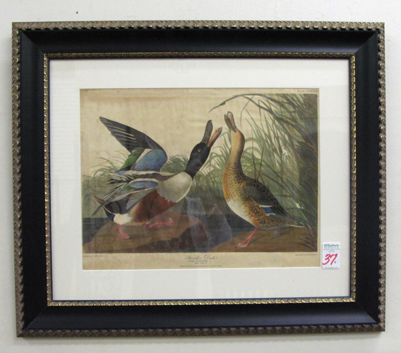 Appraisal: AN AUDUBON COLOR PRINT published by Northwestern Mutual Life Insurance