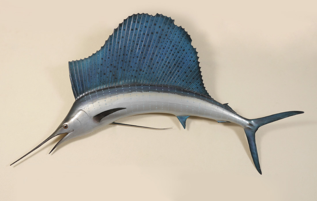 Appraisal: TAXIDERMY SAILFISH MOUNT Approx '' h x '' long x