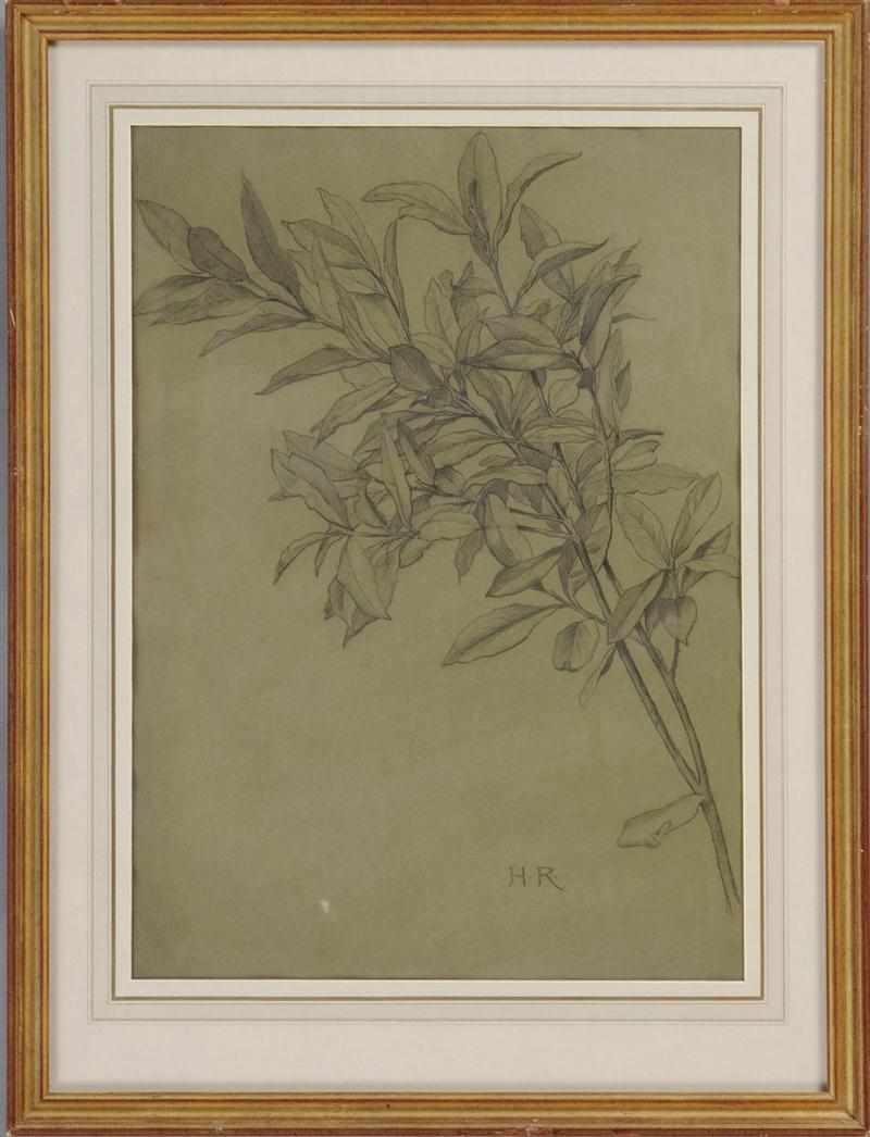 Appraisal: HENRY RYLAND - STUDY OF BAY LEAVES Black chalk on