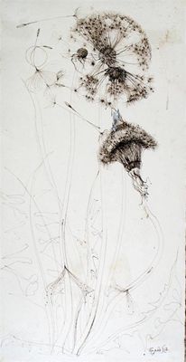 Appraisal: Kapola th Century Thistle study Signed and dated Pen and