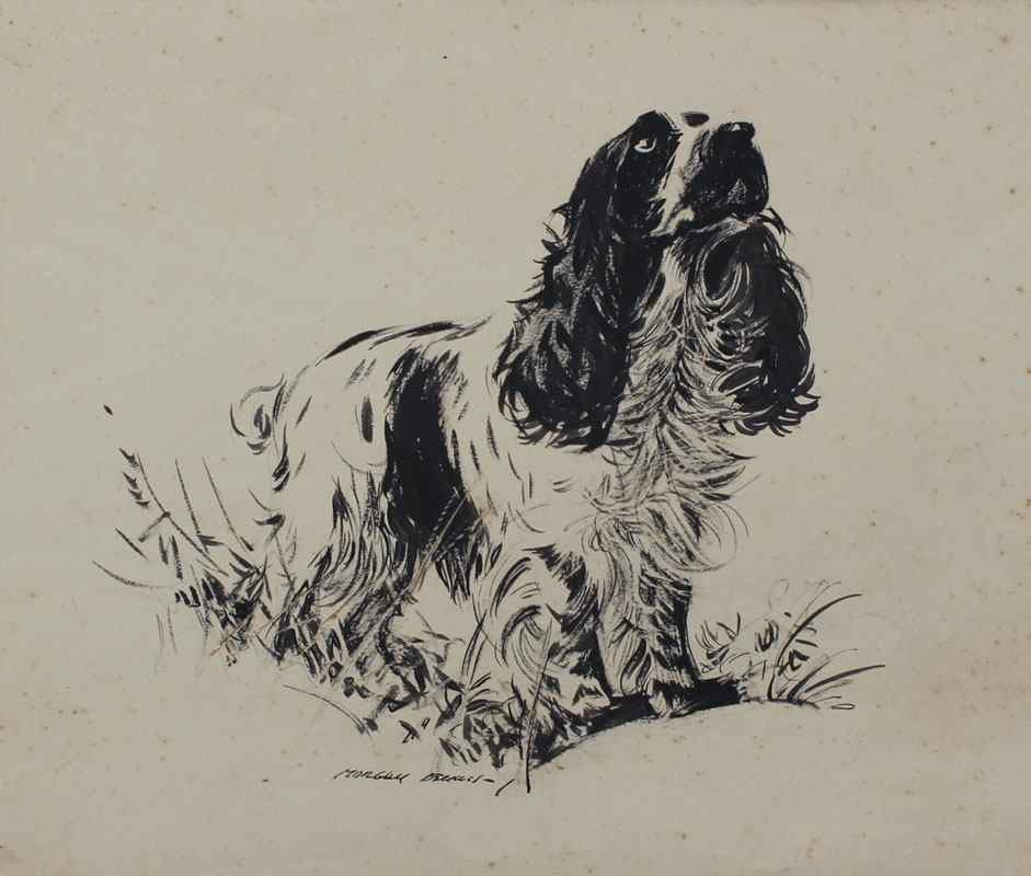 Appraisal: DENNIS Morgan American - Study of a Spaniel in a