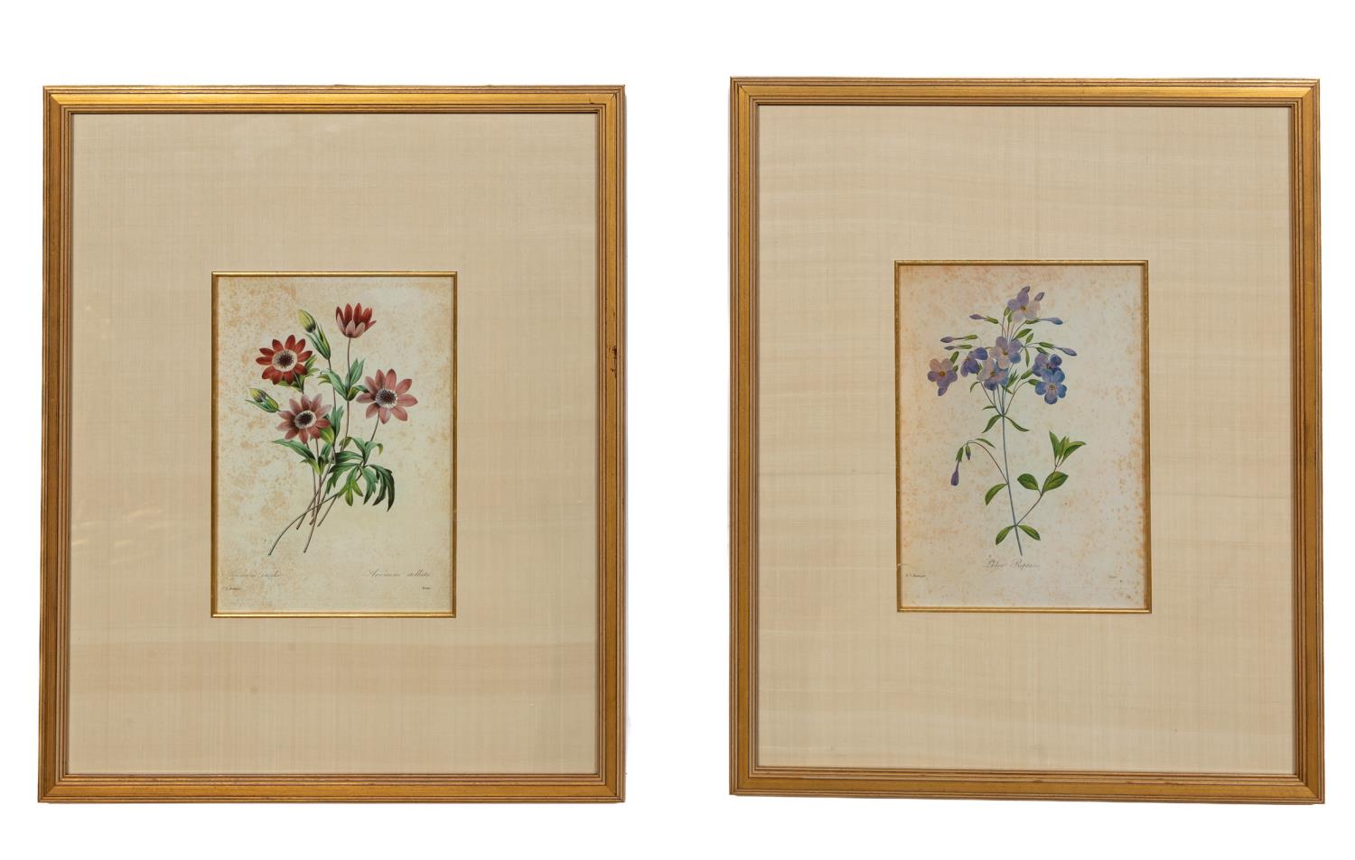 Appraisal: TWO AFTER P J REDOUTE FLORAL BOTANICAL PRINTS After Pierre-Joseph