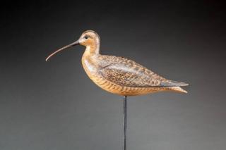 Appraisal: Curlew Mark S McNair b Craddockville VA c in from