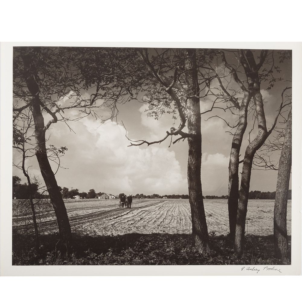 Appraisal: A Aubrey Bodine Wilcomico County-Spring American - Gelatin silver print