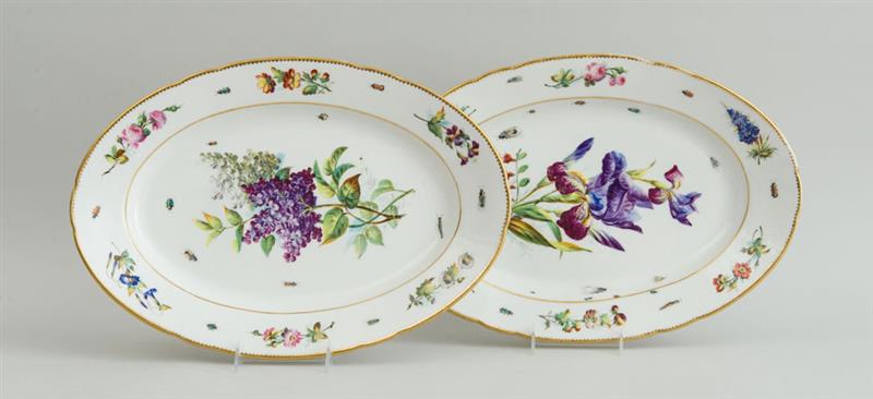 Appraisal: PAIR OF PARIS PORCELAIN BOTANICAL PLATTERS With incised marks in