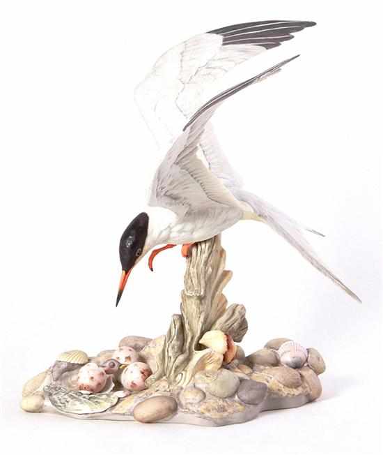 Appraisal: Boehm porcelain Common Tern figure marked on underside H W