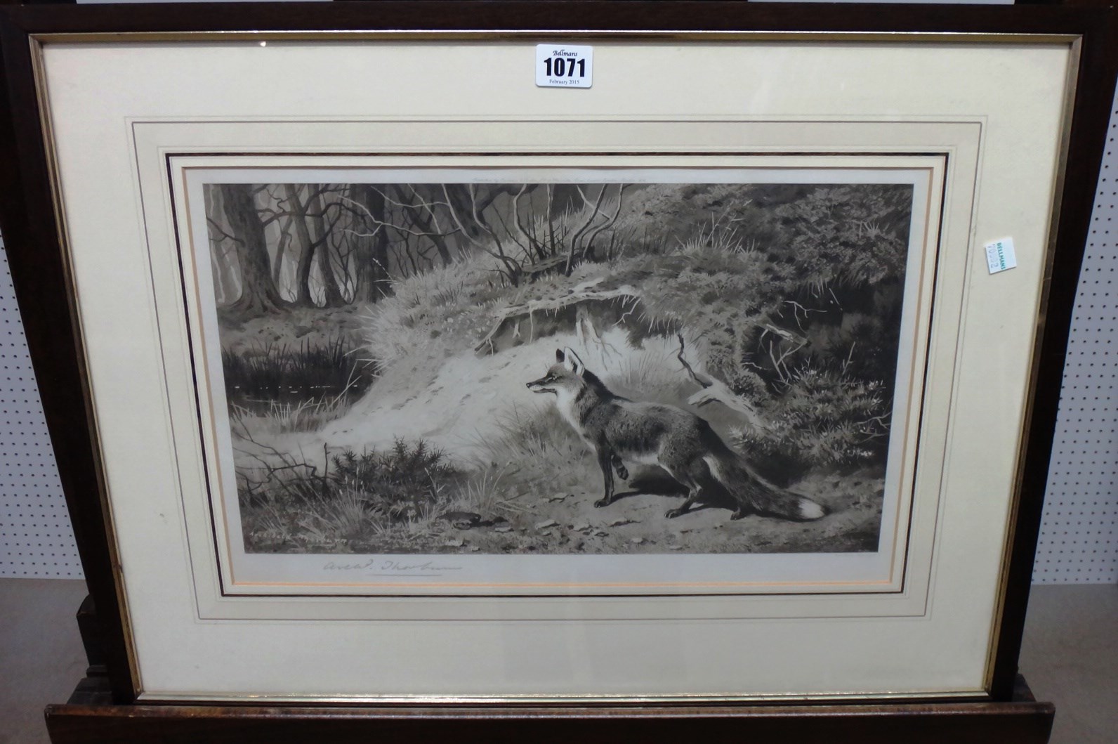 Appraisal: Archibald Thorburn - Fox monochrome print signed in pencil cm