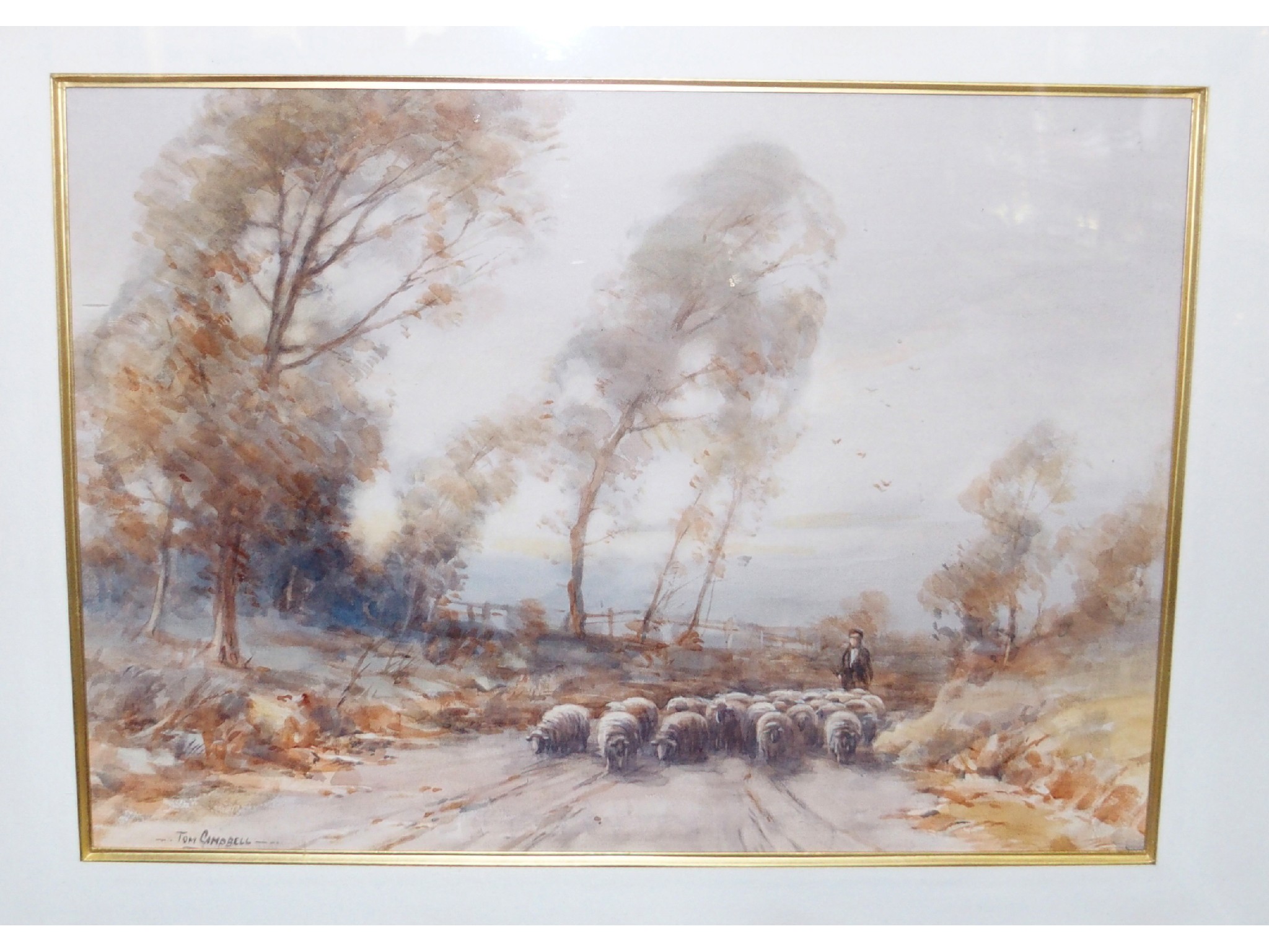 Appraisal: TOM CAMPBELL Driving sheep signed watercolour