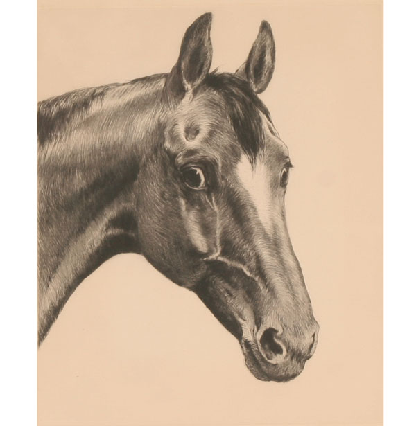 Appraisal: Kurt Meyer Eberhardt German - etching of a horse x