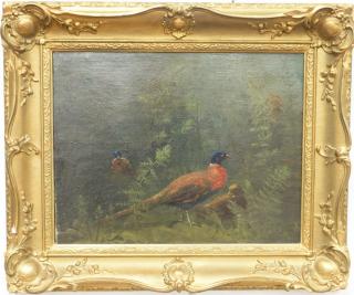 Appraisal: th century oil on canvas pheasant in the brush unsigned