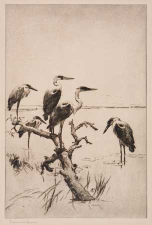 Appraisal: FRANK W BENSON Herons at Rest Etching and drypoint x