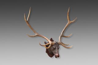 Appraisal: Stag's Head Black Forest Germany by by in without the