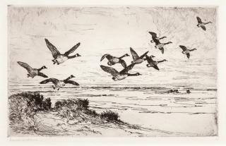 Appraisal: Frank W Benson - Two Etchings Geese Against the Sky