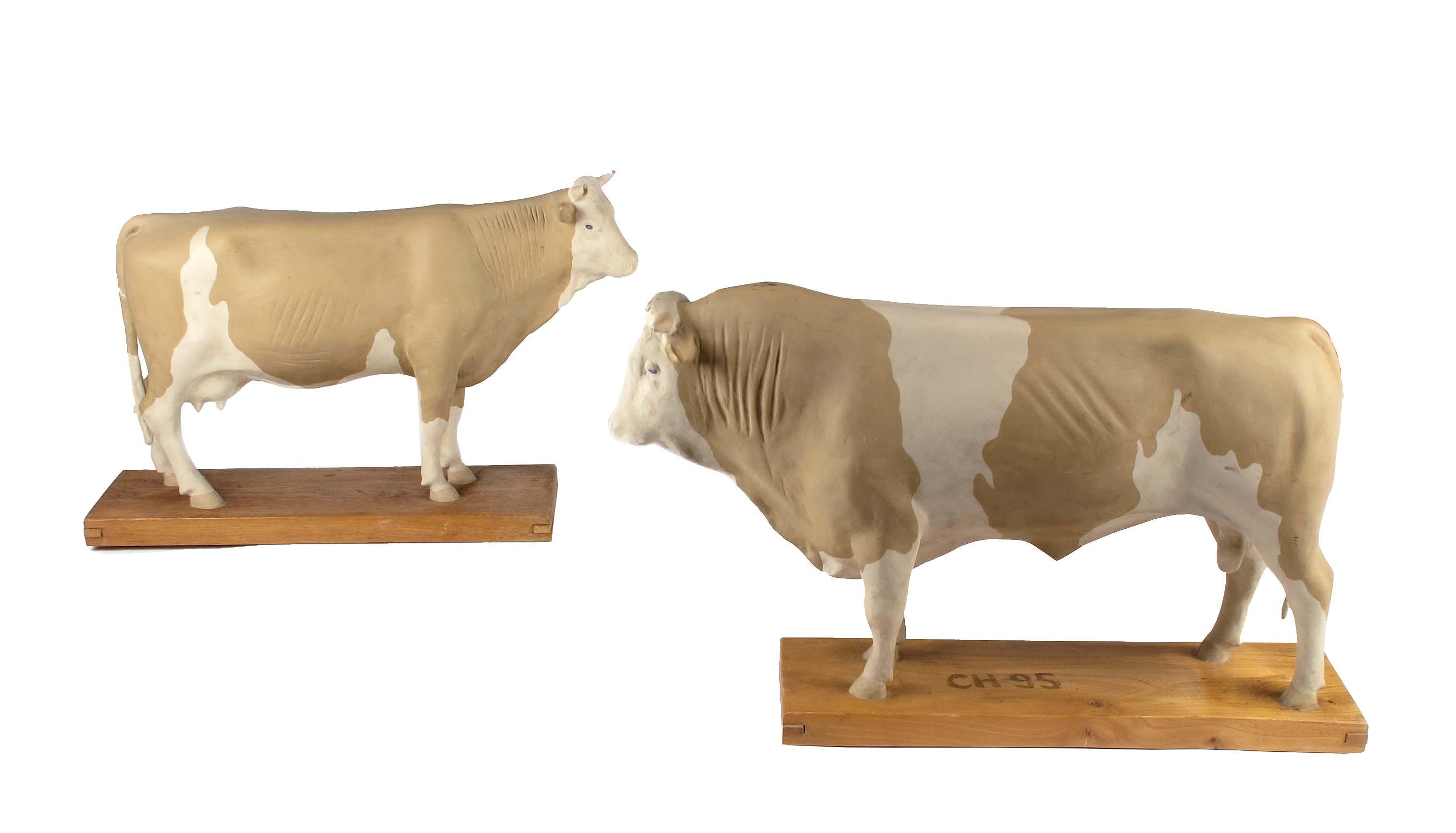 Appraisal: A pair of painted plaster models of Simmental cattle