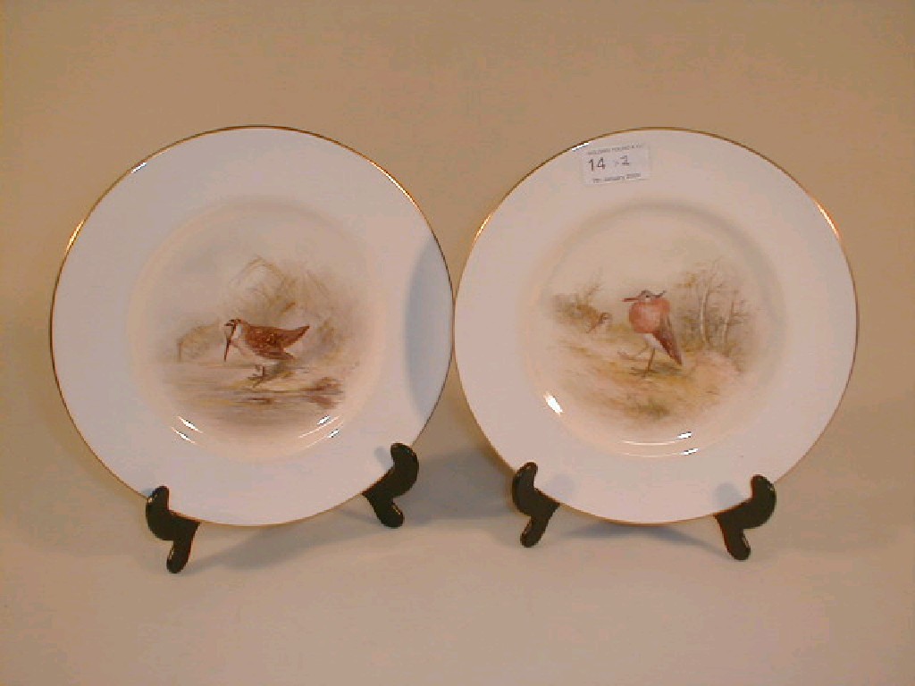 Appraisal: A pair of Royal Worcester plates painted to the centre