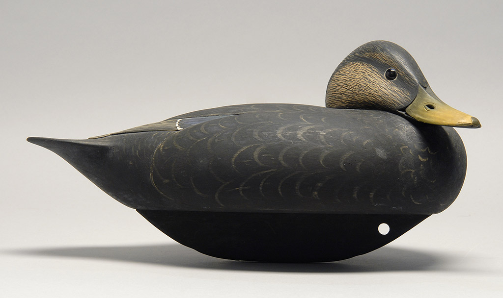 Appraisal: BLACK DUCK DECOY By Marty Collins of Wareham Massachusetts Carved