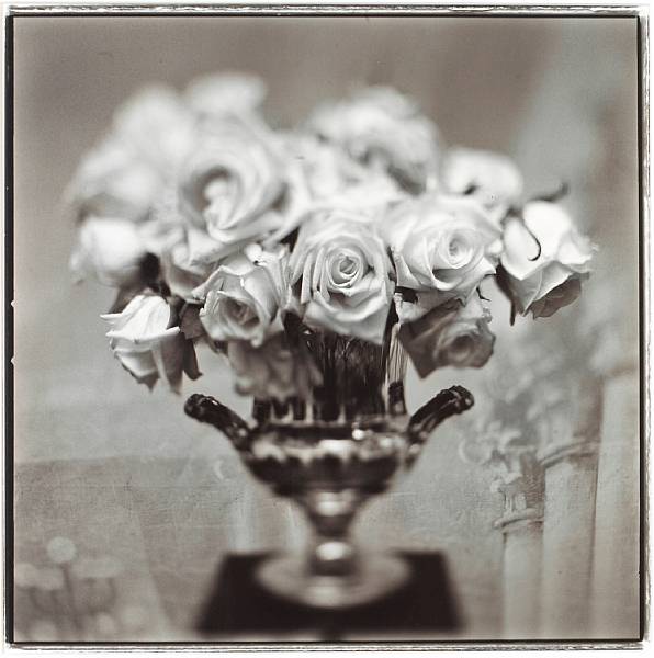 Appraisal: Keith Carter American born Roses Split-toned gelatin silver print signed