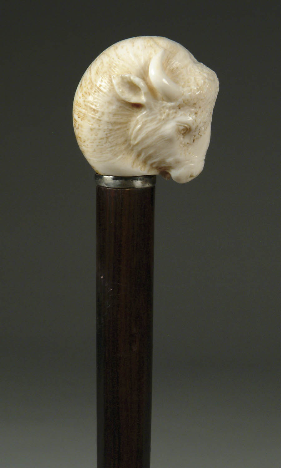 Appraisal: CARVED IVORY BUFFALO HEAD CANE Carved ivory buffalo head handle