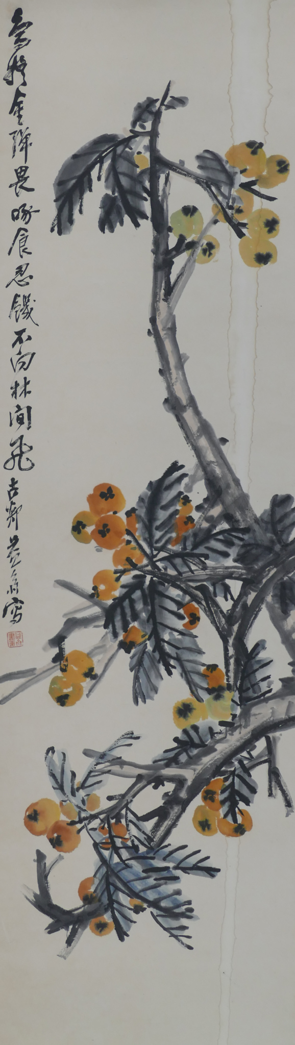 Appraisal: Shen Yizhai - Chinese ''Loquats'' Scroll Painting Watercolor on Paper