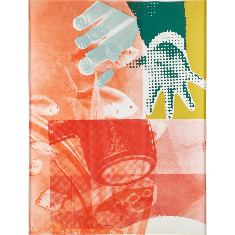 Appraisal: JAMES ROSENQUIST American b Condition Report Smooth heavy weight paper