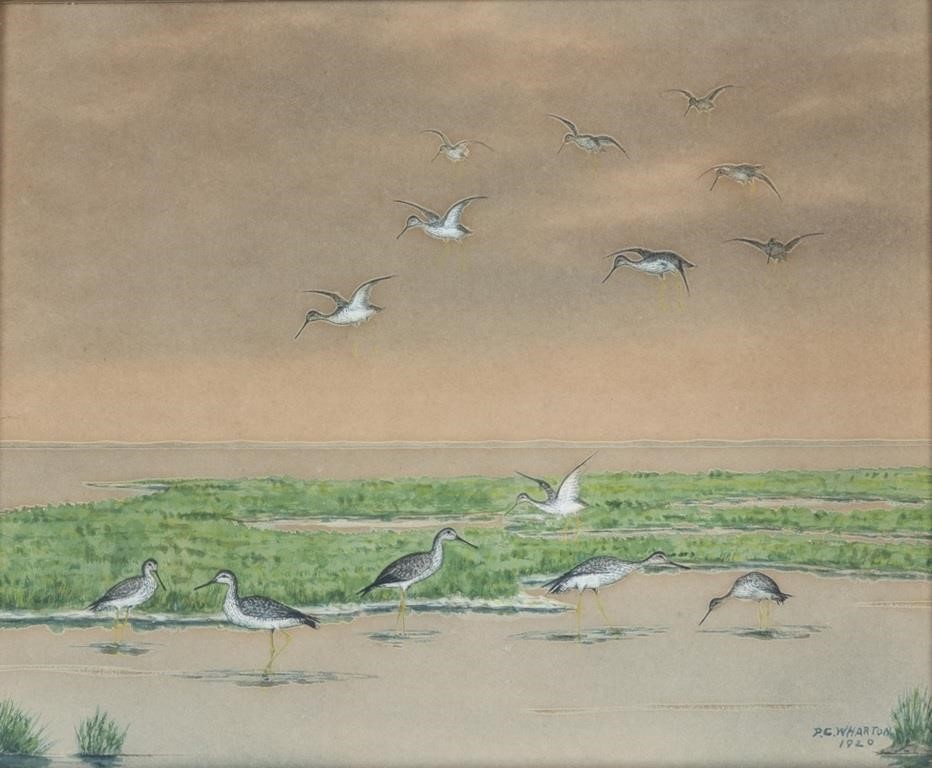 Appraisal: Yellowlegs signed and dated P C Wharton lower right watercolor