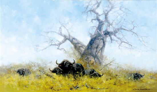 Appraisal: David Shepherd British b CAPE BUFFALO UNDER BAOBAB TREE oil