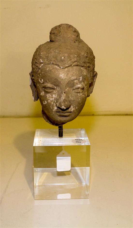 Appraisal: Sale Lot A Gandhara Stucco Head of Buddha Height with