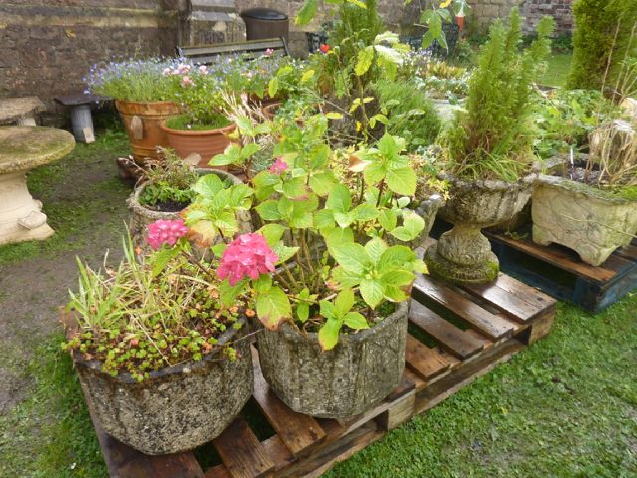 Appraisal: A pair of weathered cast composition stone garden planters of