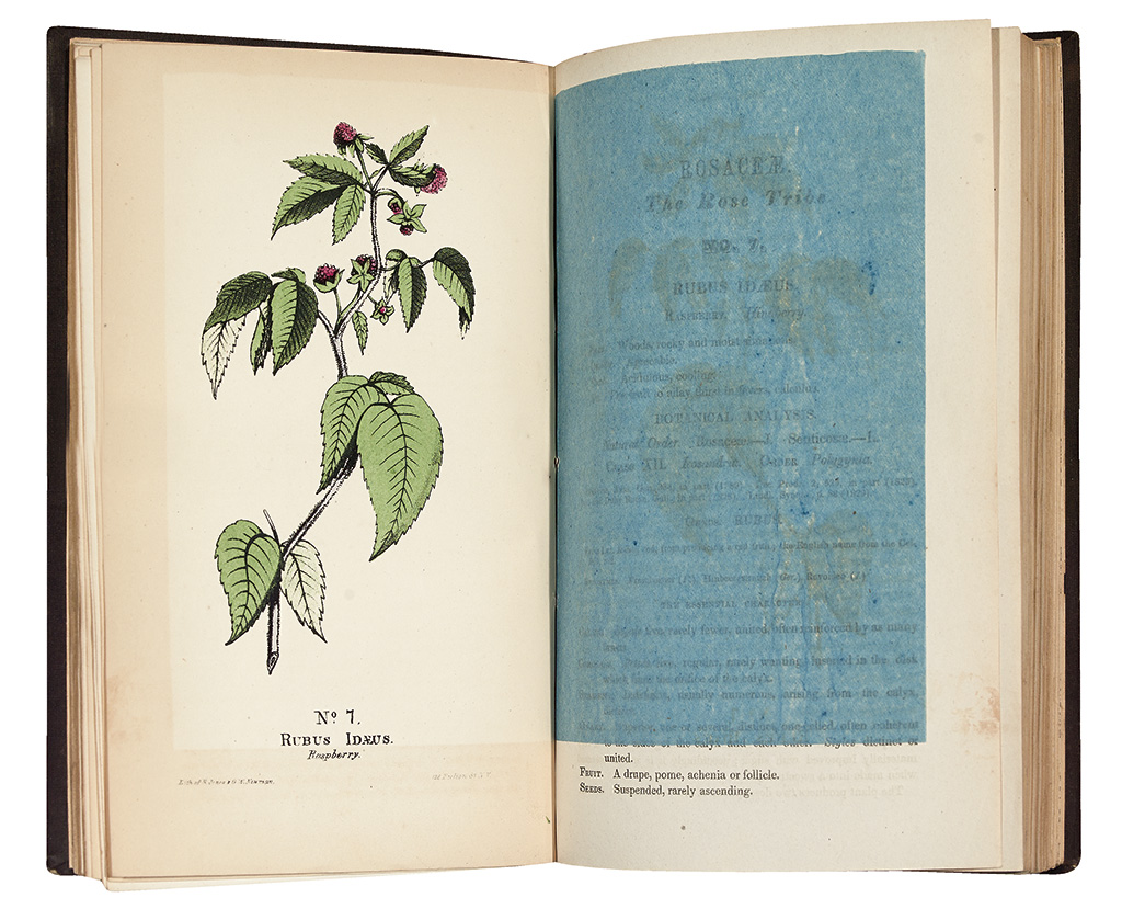 Appraisal: BOTANICAL Good Peter P A Materia Medica Botanica containing the