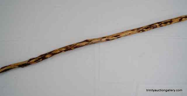 Appraisal: Hand Made Hiker's Walking Stick This is a hand cut