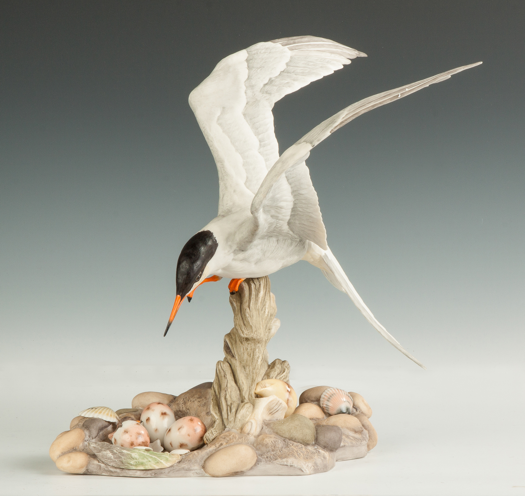 Appraisal: Boehm Porcelain Common Tern